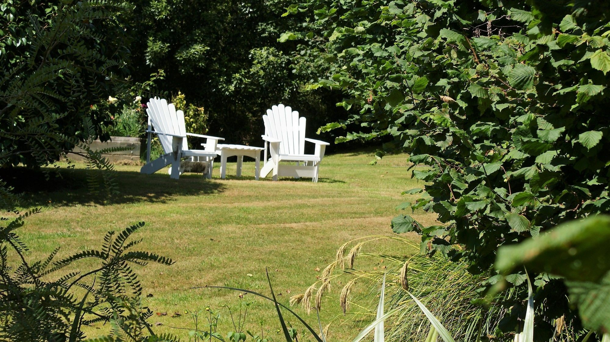 Chalet Eiger Taupo Exterior foto